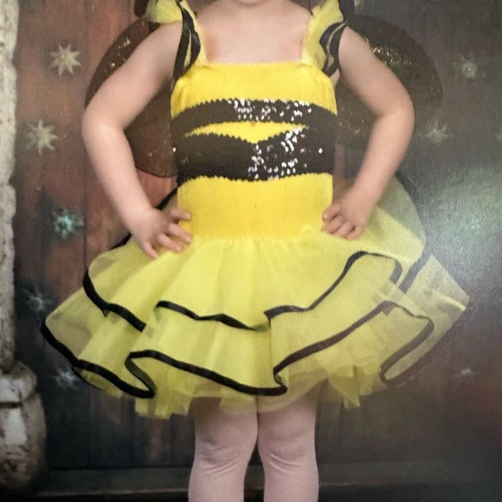Bumble Bee Ballet Dress Costume Yellow and Black | Size 4